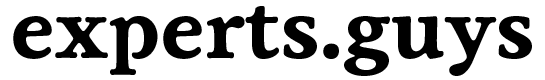 ExpertsGuys